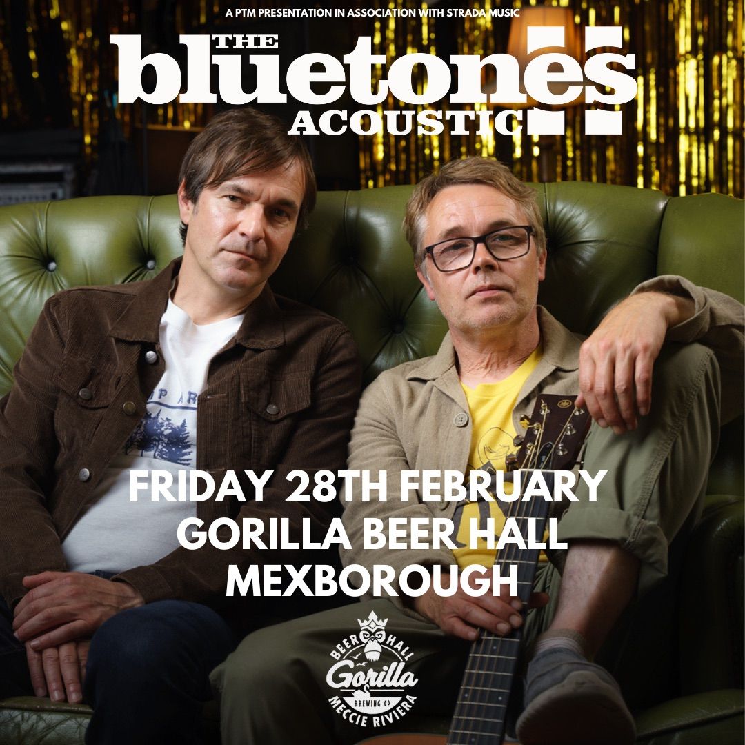 The Bluetones (Acoustic)