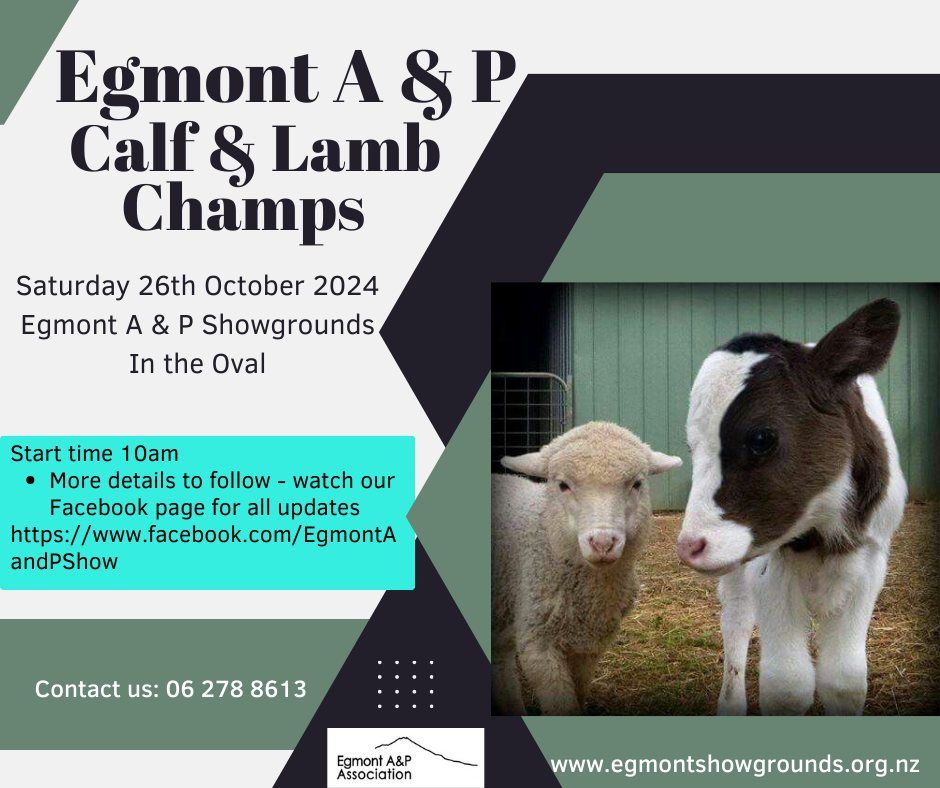 Egmont A & P Calf & Lamb Champs 2024