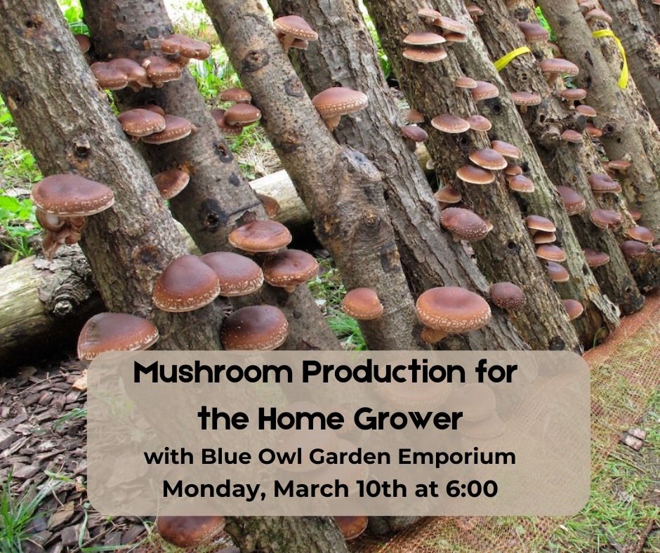 Workshop: Mushroom Production for the Home Grower