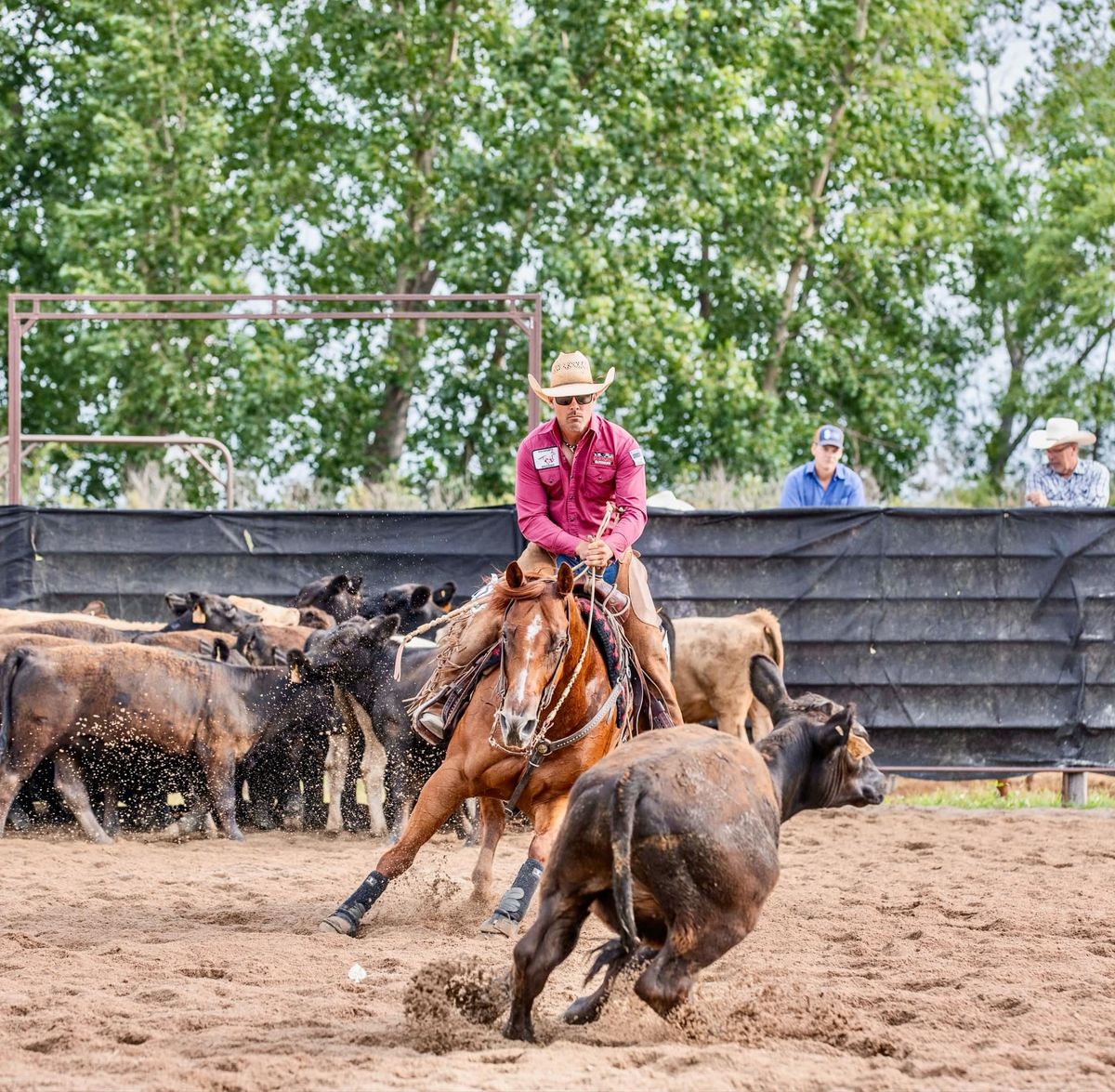 Ranch Horse Academy with Zach Hedberg