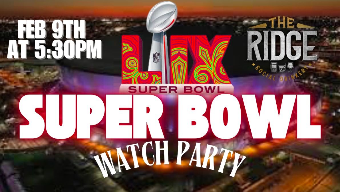 Super Bowl Watch Party