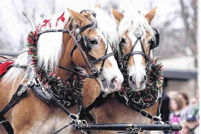 Downtown Holiday Horse Parade Dinner