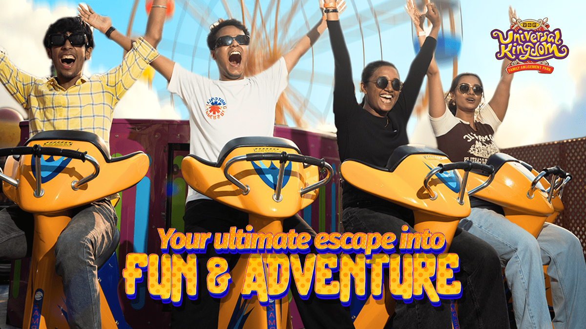 VGP Universal Kingdom