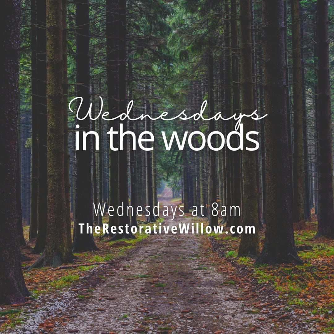 Wednesdays in the Woods 