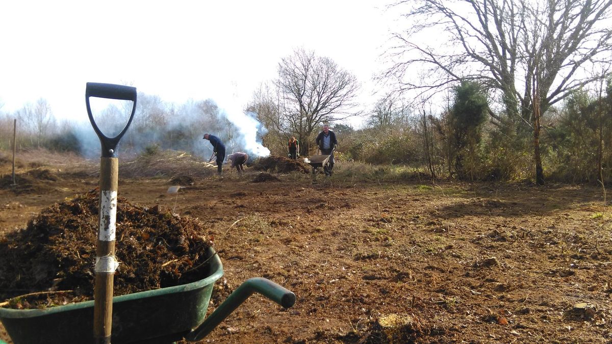 Yateley Common Sunday Conservation Volunteers