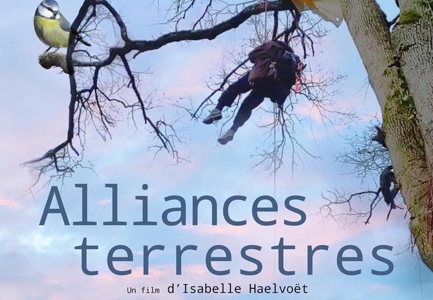 Cine\u0301-Palabres : Alliances Terrestres 