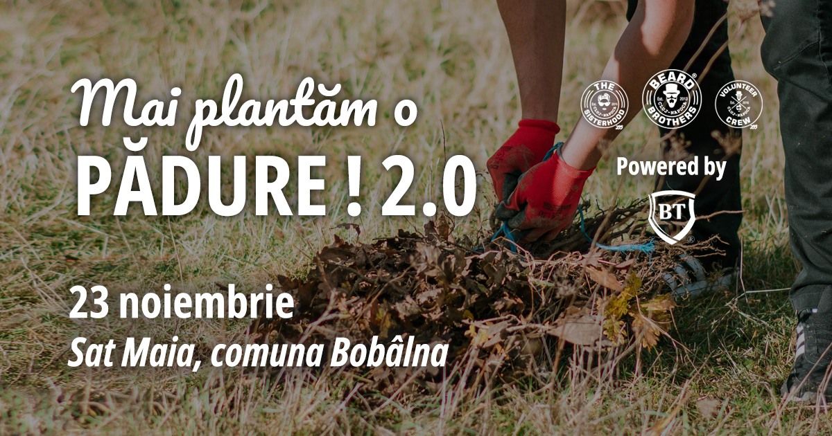 \u00cemp\u0103durire BB @ Bobalna Powered by BT 2.0