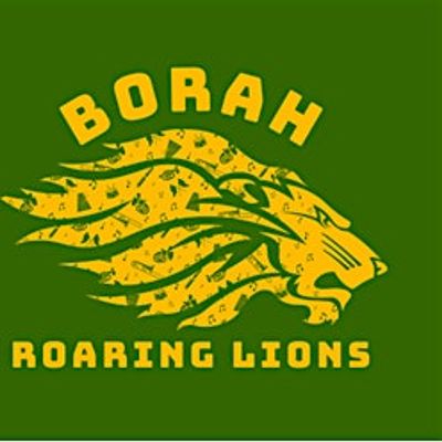Borah Band Boosters