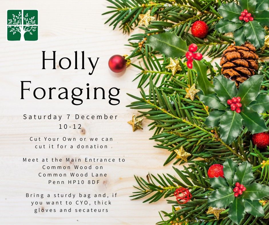 Holly Foraging