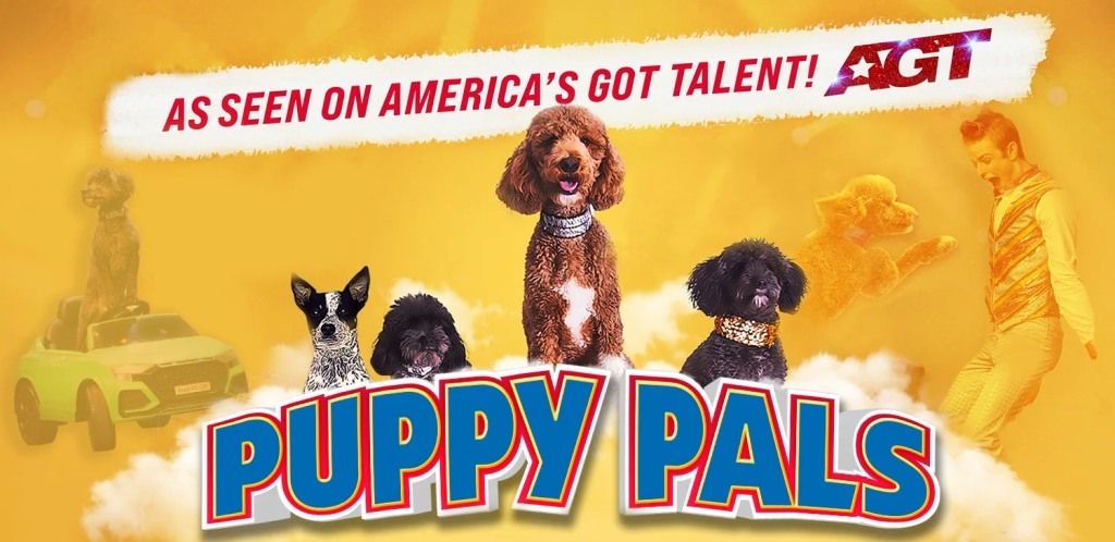 The STAR Centre presents: Puppy Pals Live!