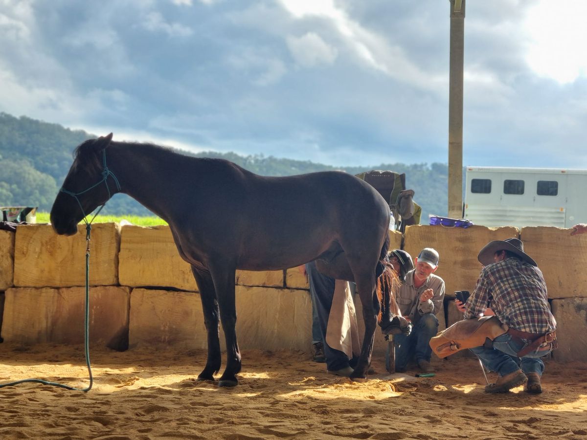 David Landreville On the Vertical Hoof Builders Clinic