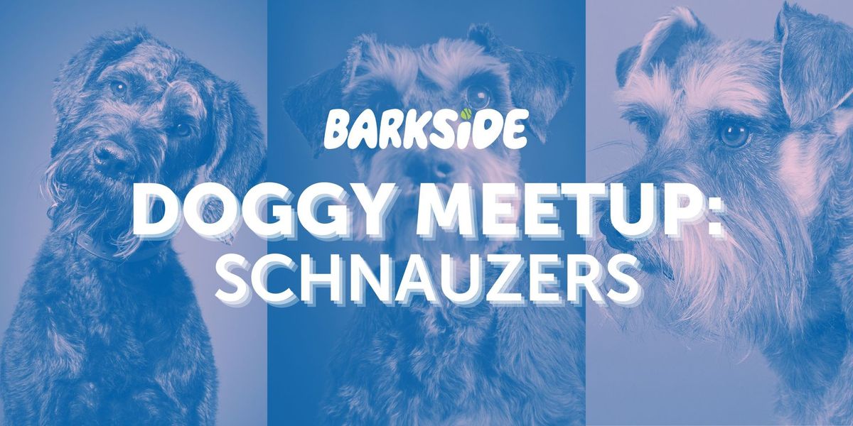 Doggy Meetup: Schnauzers