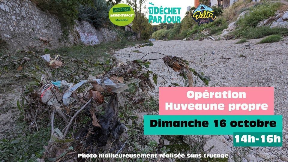 activit-nettoyage-de-lhuveaune-boulevard-michelet-marseille-16