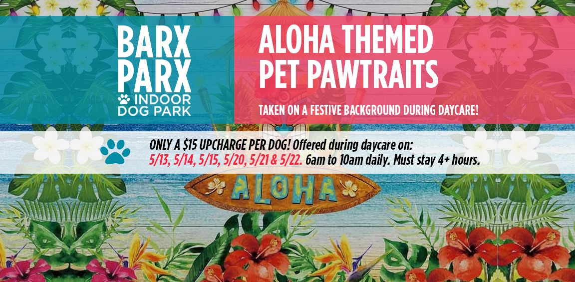 $15 Aloha Summer Themed Pawtraits During Daycare 6am To 10am On Select Dates