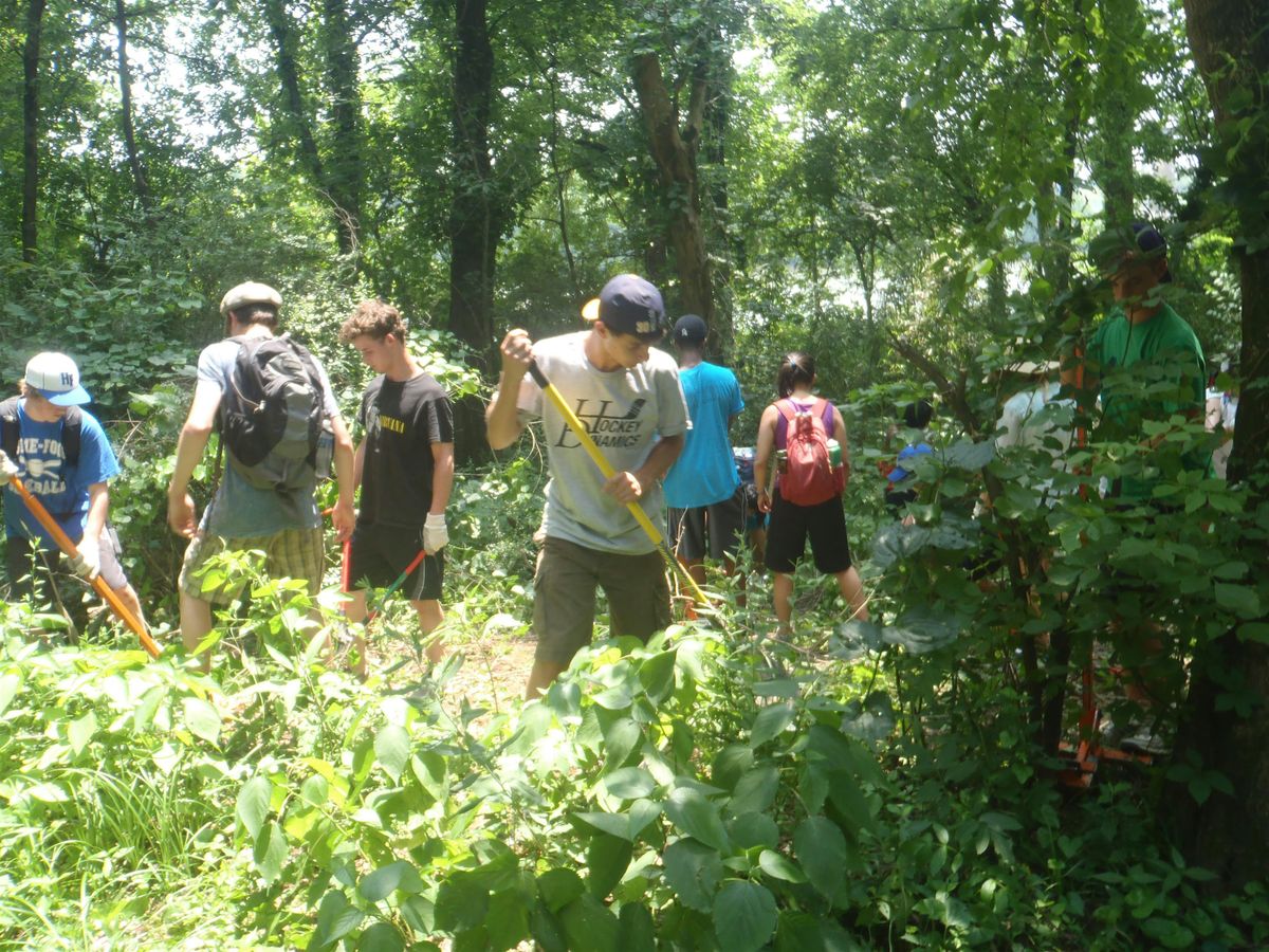 FROGGY Bottoms: Invasive Yoink