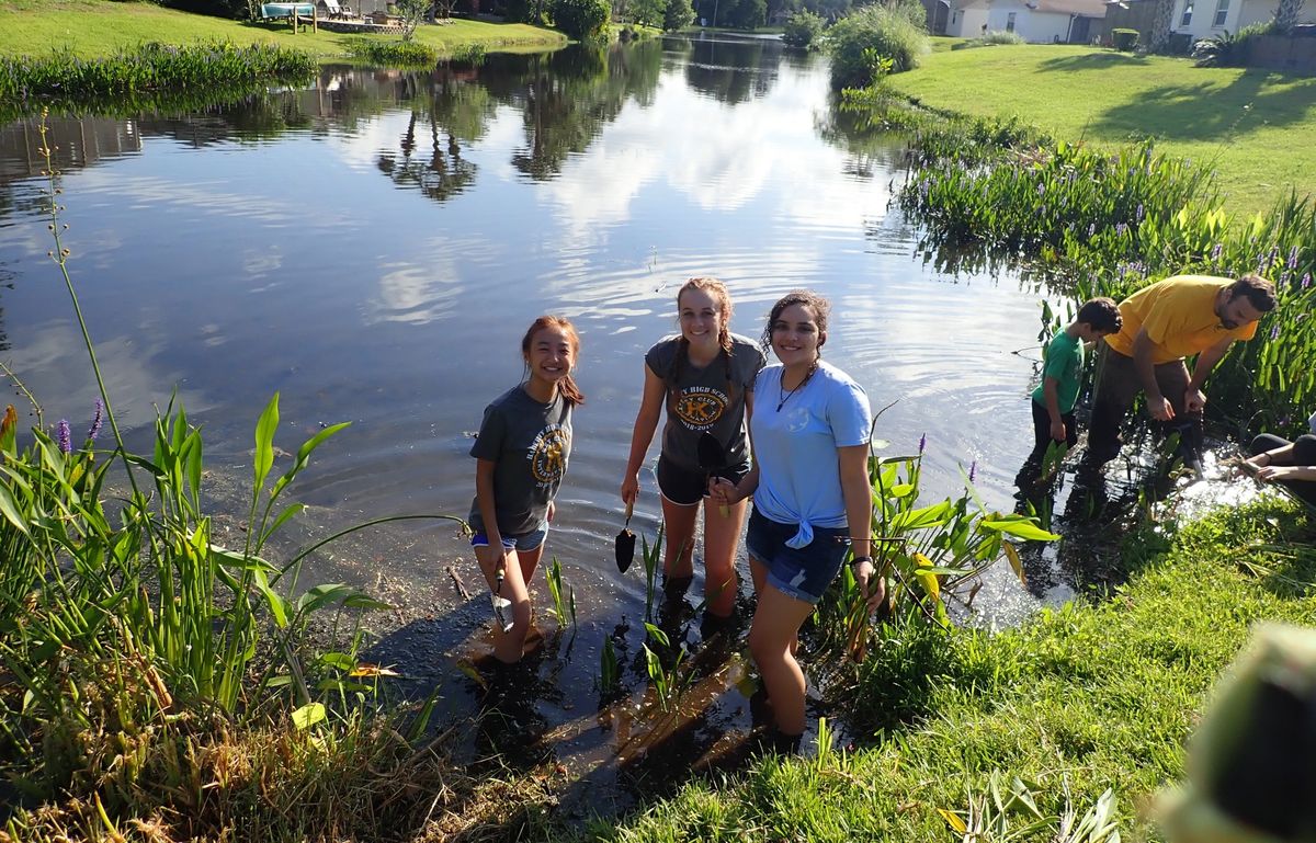 Twin Lake Restoration