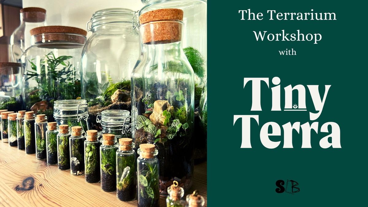 The Terrarium Workshop