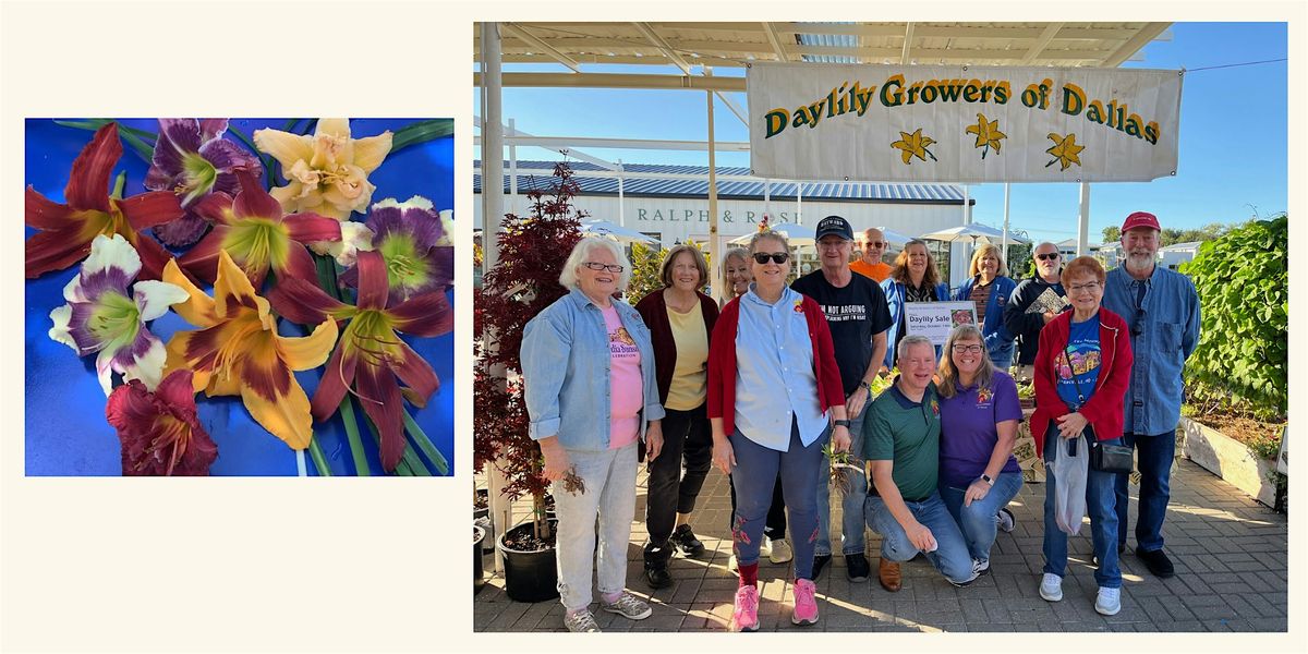 Daylily Exhibition 2026