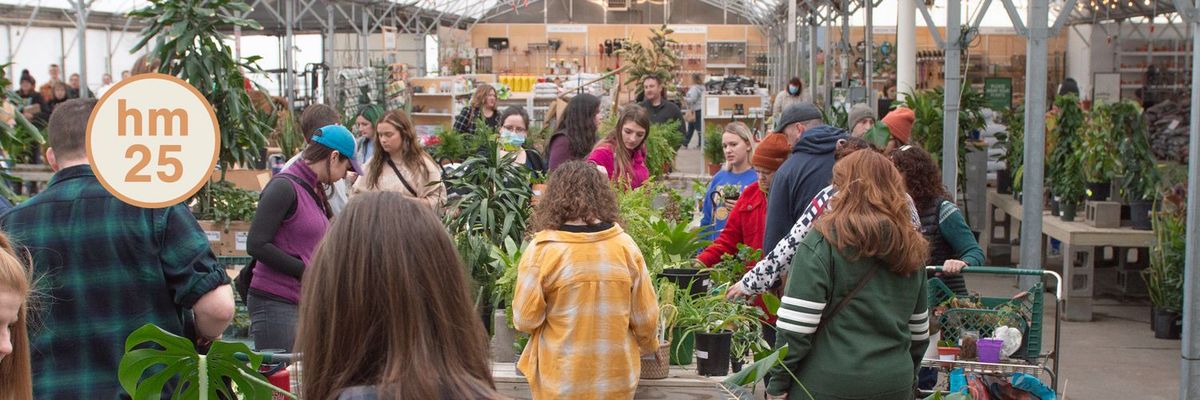 Houseplant Swap