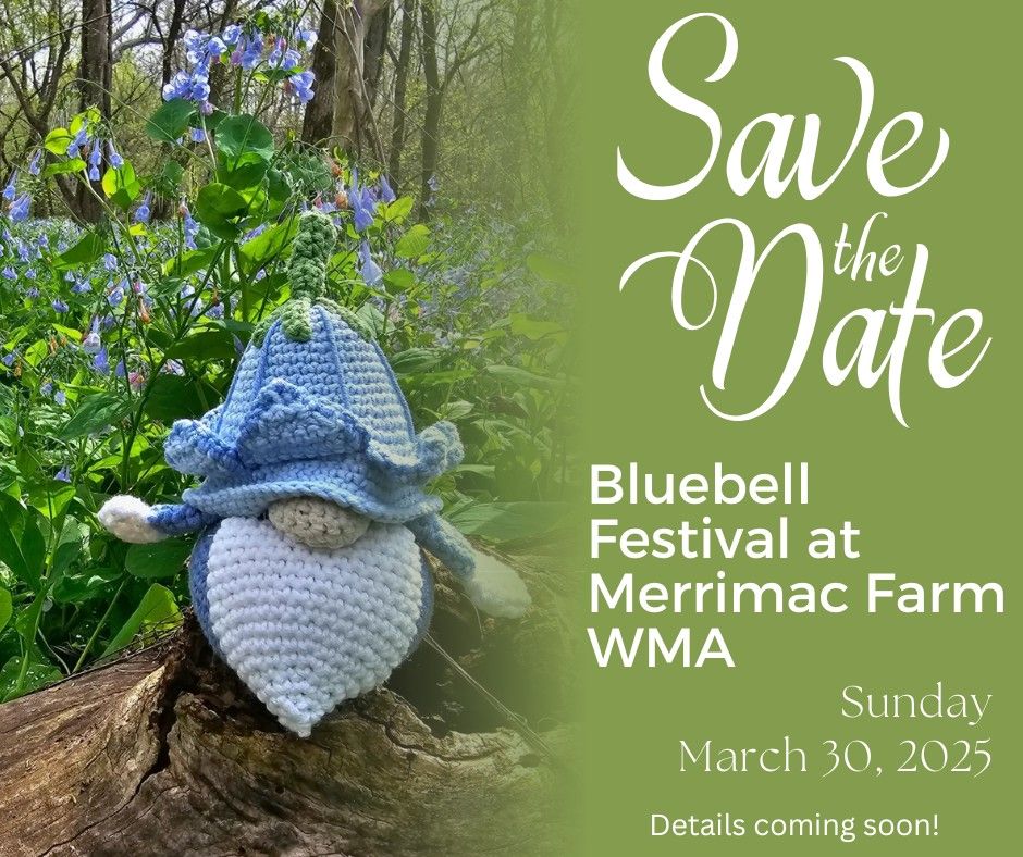 PWCA's 2025 Bluebell Festival