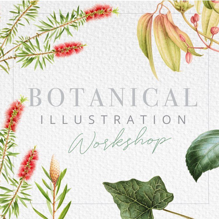 Botanical Illustration Workshop: Summer at Leonardslee 