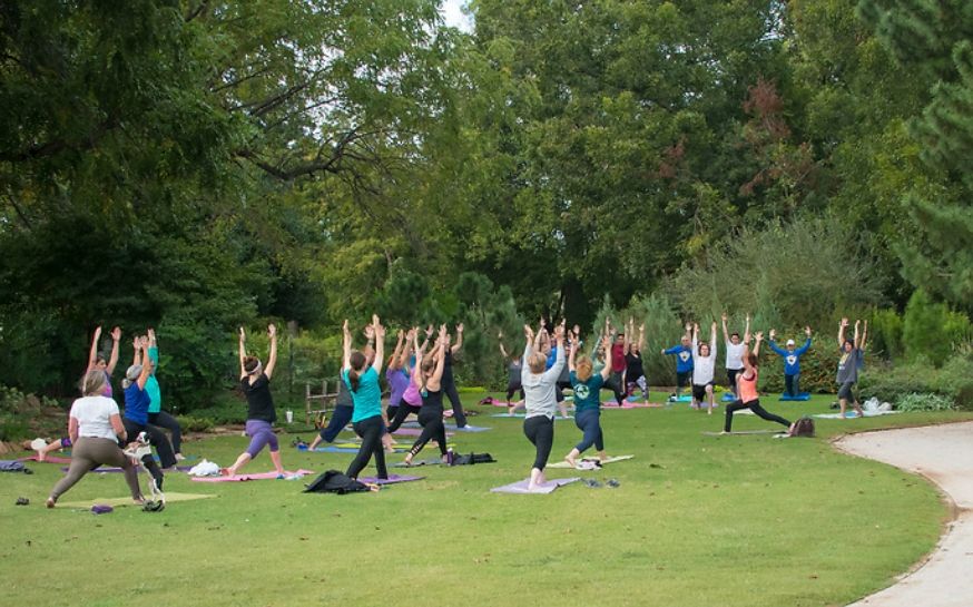 Yoga in the Garden