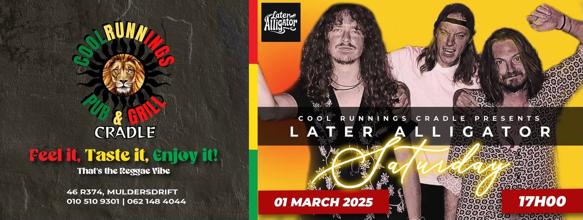 Later Alligator LIVE at Cool Runnings Cradle