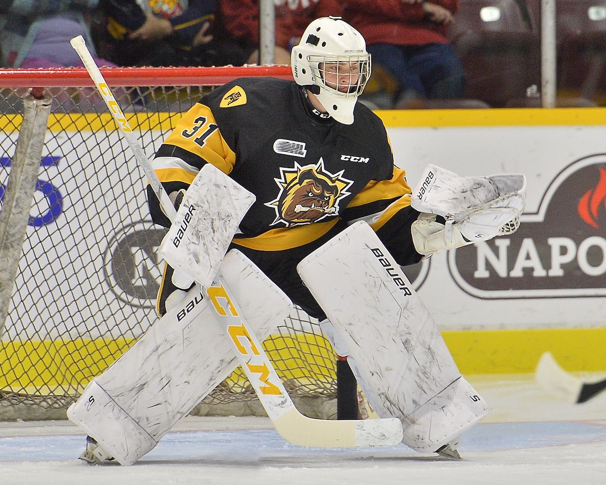 Brantford Bulldogs at Sarnia Sting