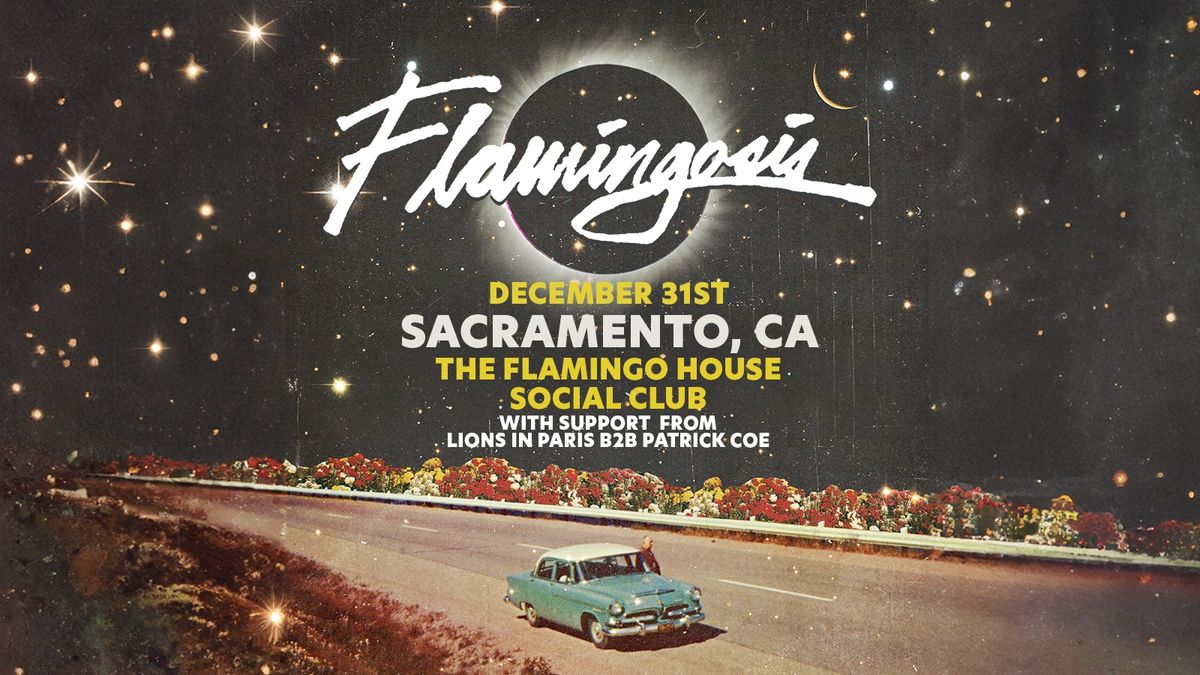 NYE at Flamingo House ft. Flamingosis (round 2!)