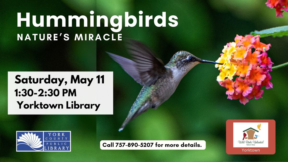 Hummingbirds: Nature's Miracle
