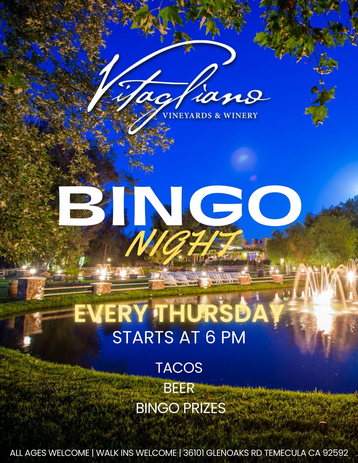 Free Bingo Nights!