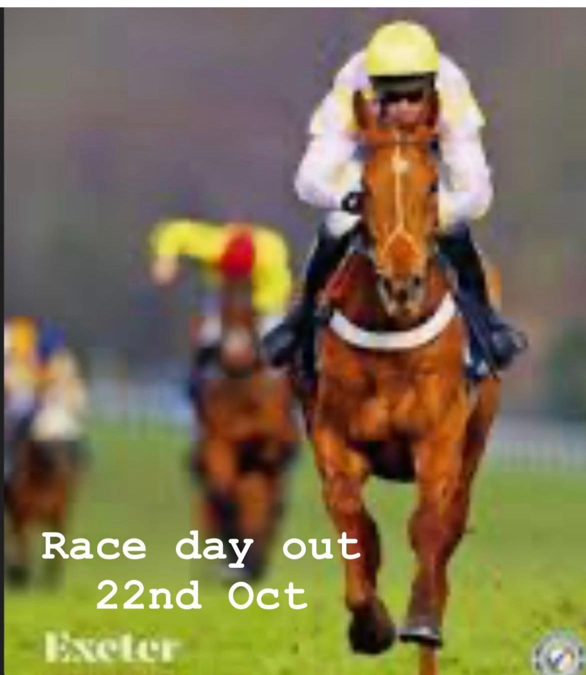 Exeter Races - Race Day