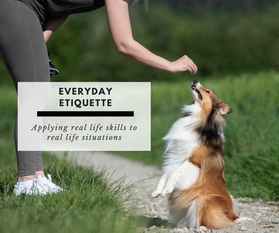 Everyday Etiquette Training Class