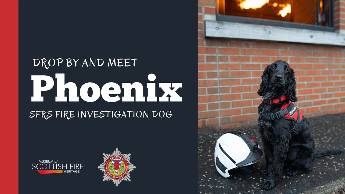 Meet Phoenix the SFRS Fire Investigation Dog