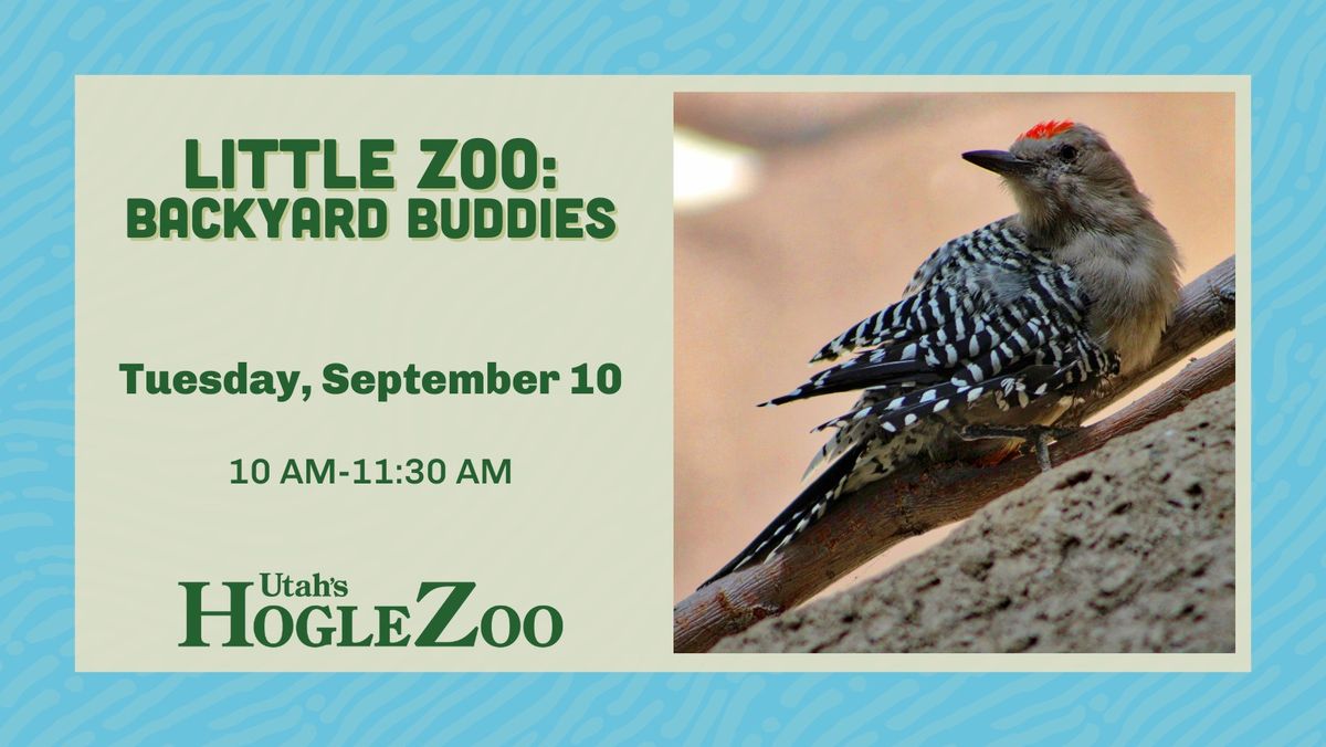 Little Zoo: Backyard Buddies