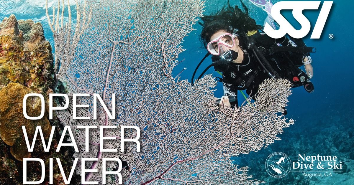 Open Water Diver Course: Pre-Counsel (Saturday Class)