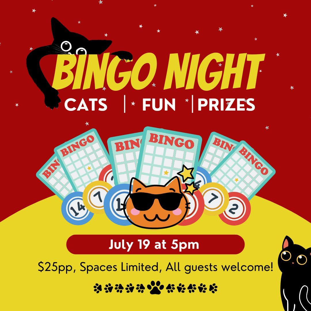 Bingo with the Cats!