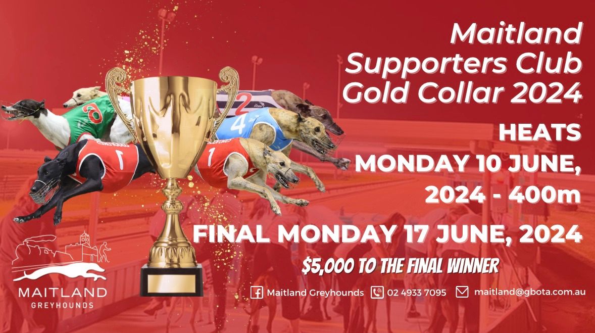 Maitland Supporters Club Gold Collar Series 