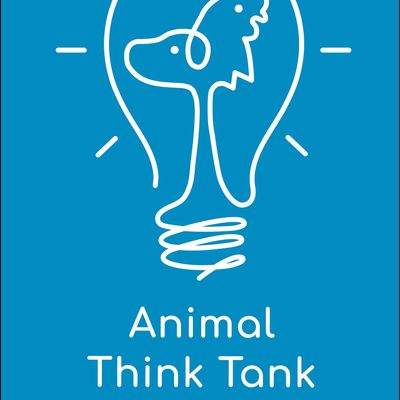 Animal Think Tank