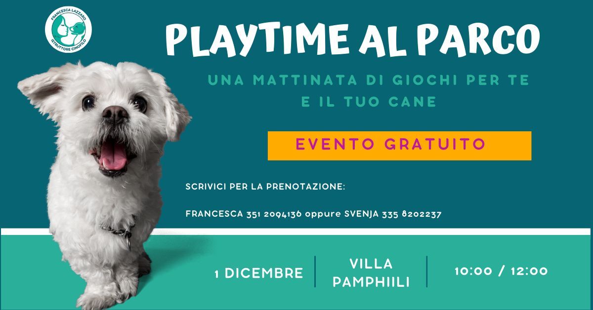 PLAYTIME AL PARCO - una mattinata di giochi per te e il tuo cane!