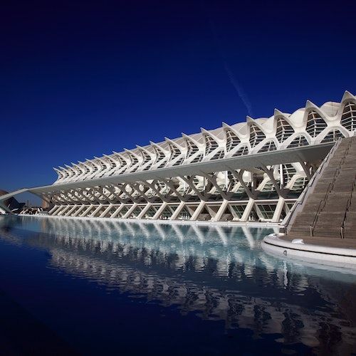 Museo de las Ciencias Valencia: Entrada sin colas