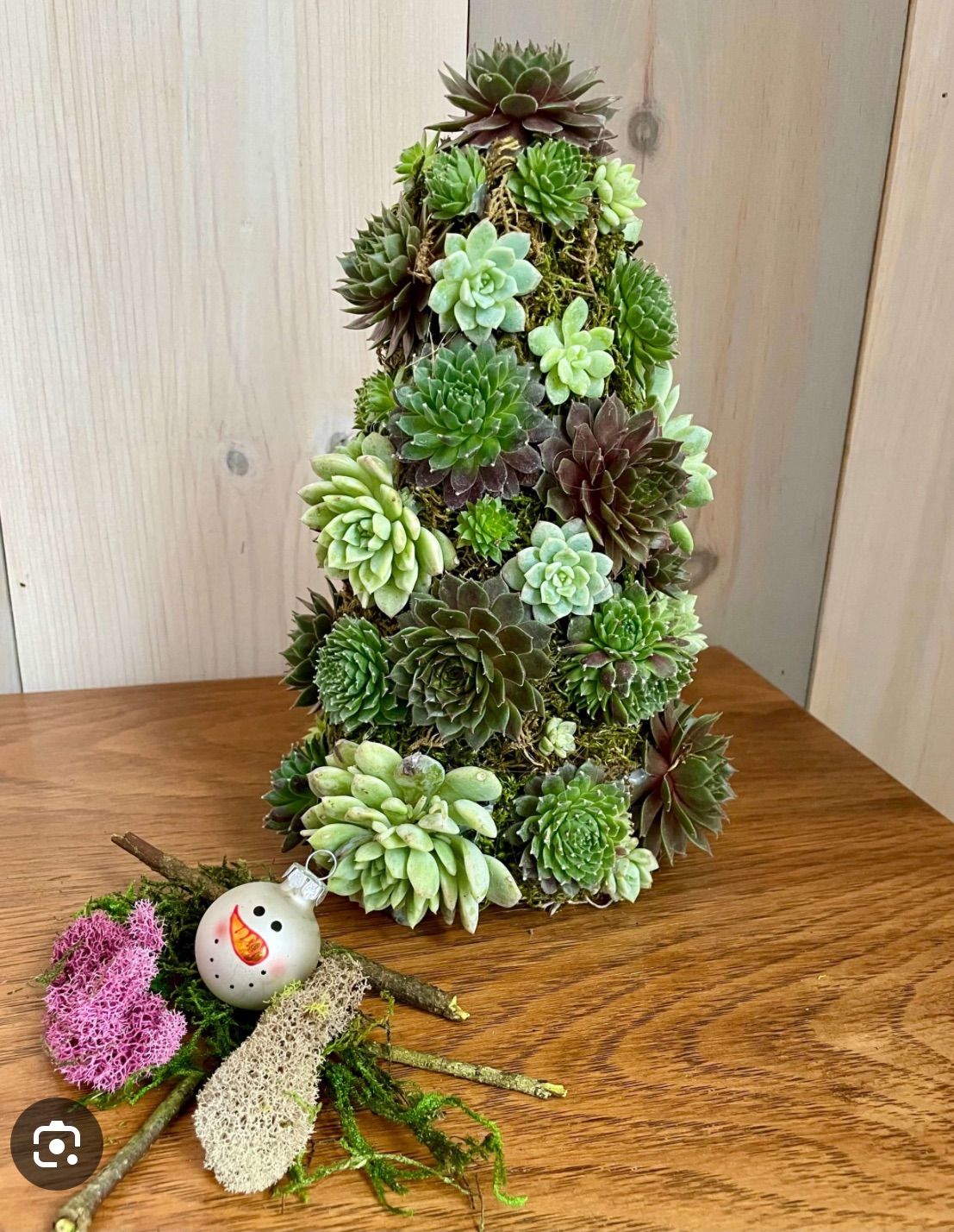 Succulents & Sips: Holiday Tree Crafting \ud83c\udf31\ud83c\udf7b