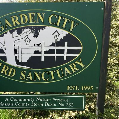 Garden City Bird Sanctuary
