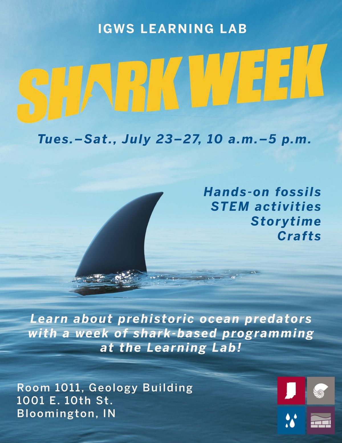Shark Week at the Learning Lab