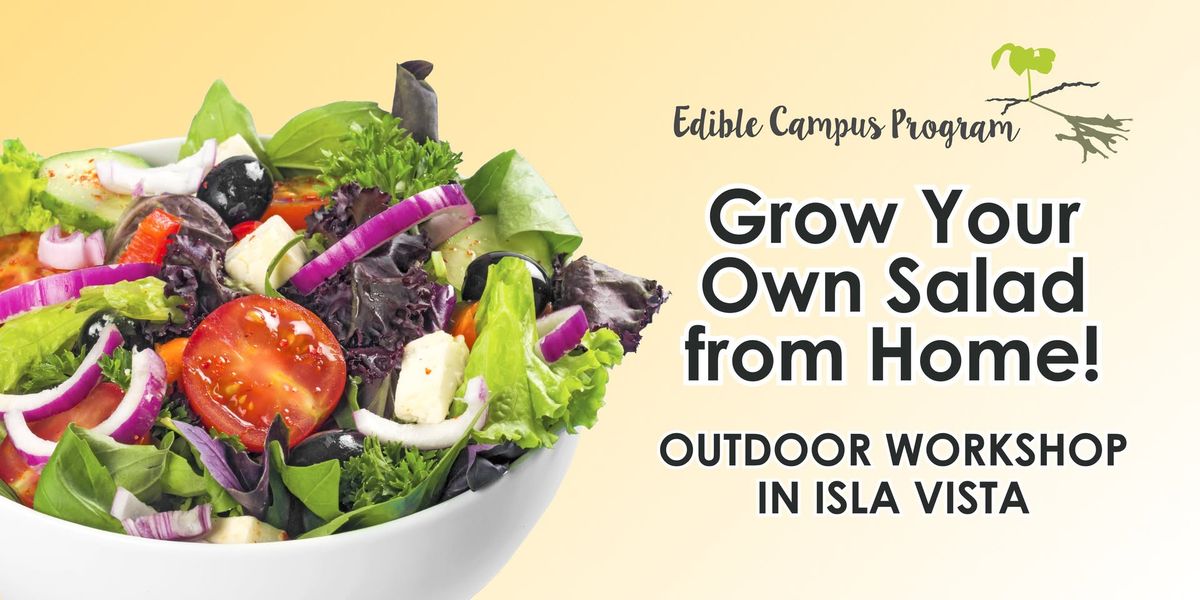 How to Grow Your Own Salad at Home - Workshop!