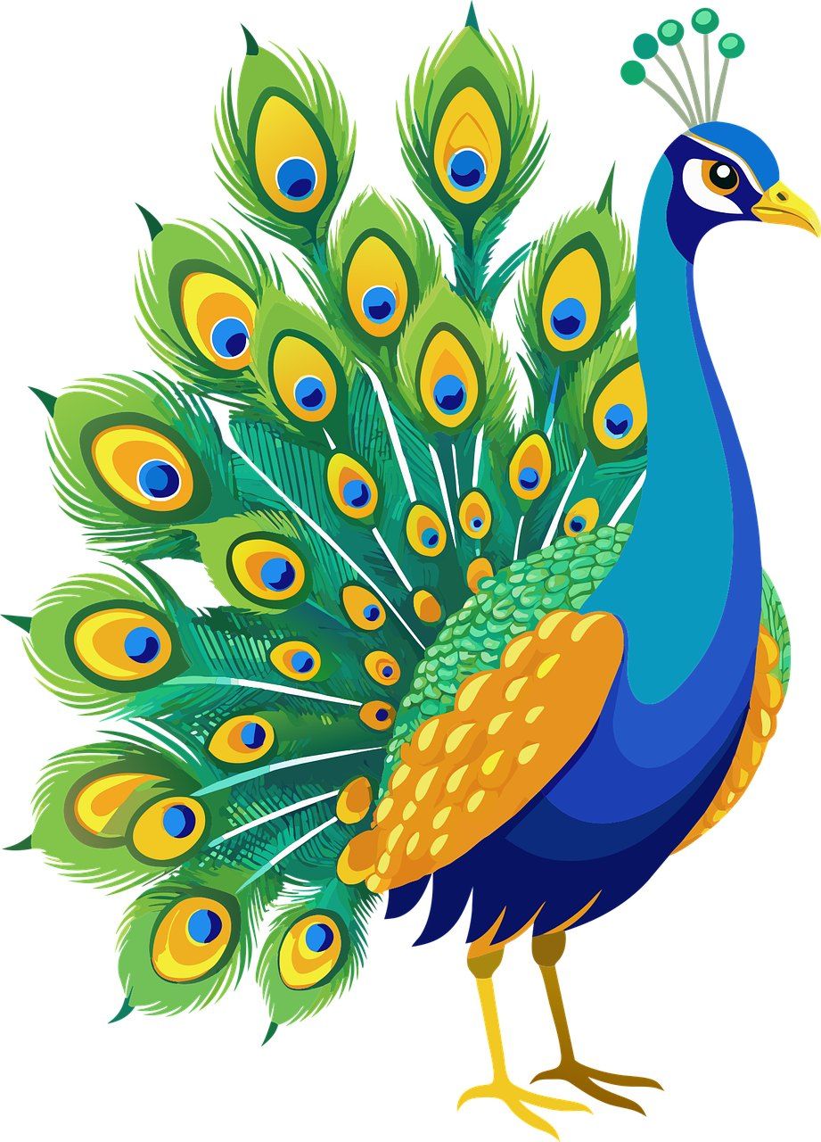 Peacock Craft for Children