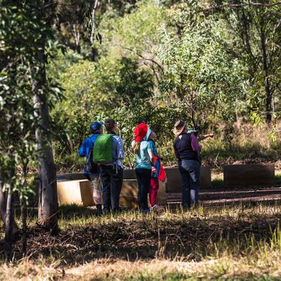 Ipswich City Council - Environment Events