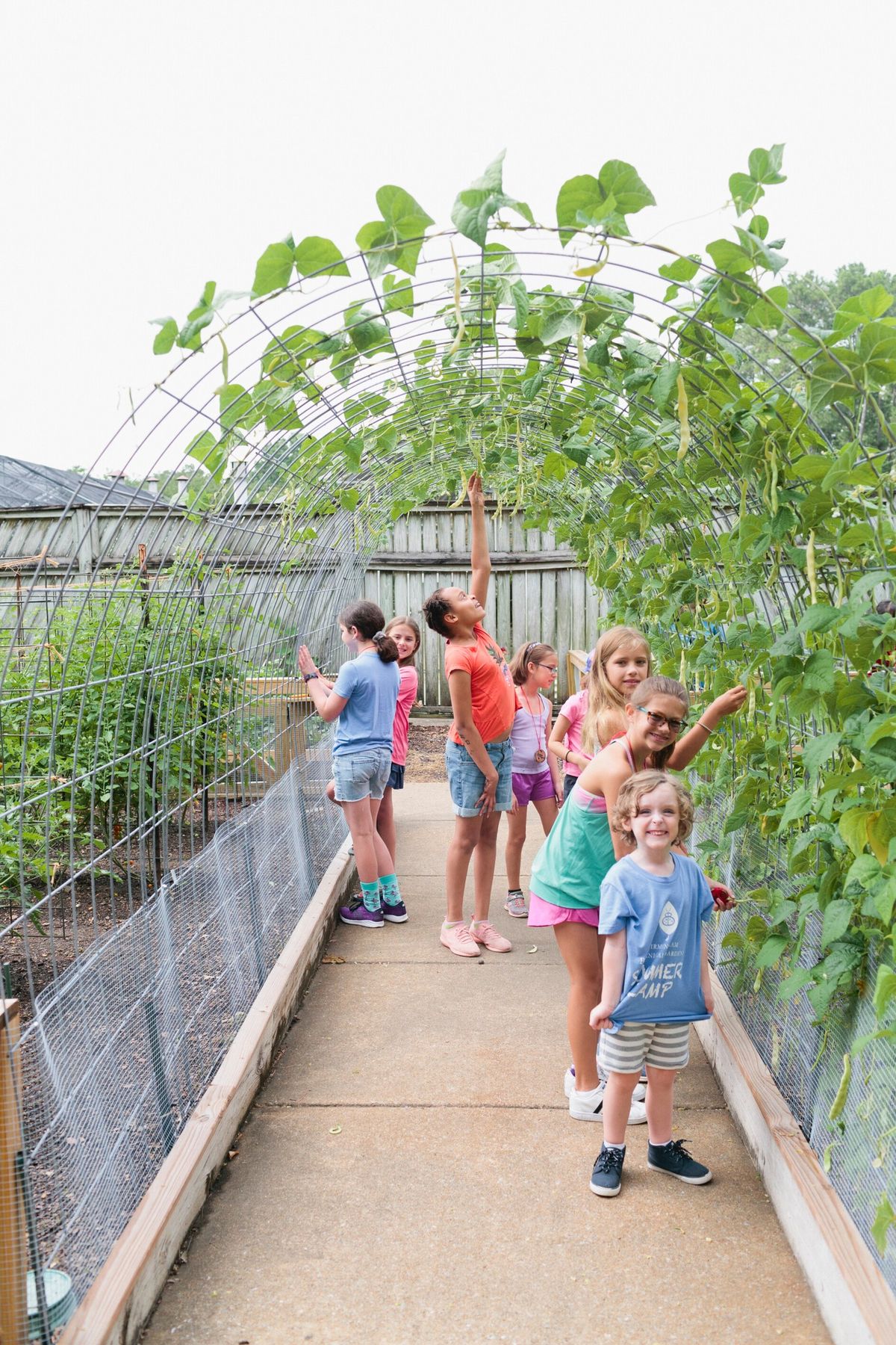 Children's Summer Camps: Nature's Kitchen (Morning Camp) 