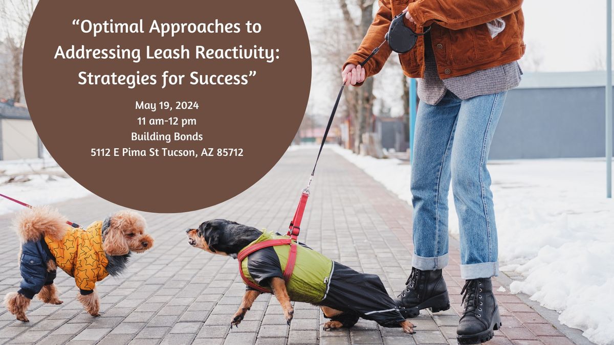 Optimal Approaches to Addressing Leash Reactivity: Strategies for Success