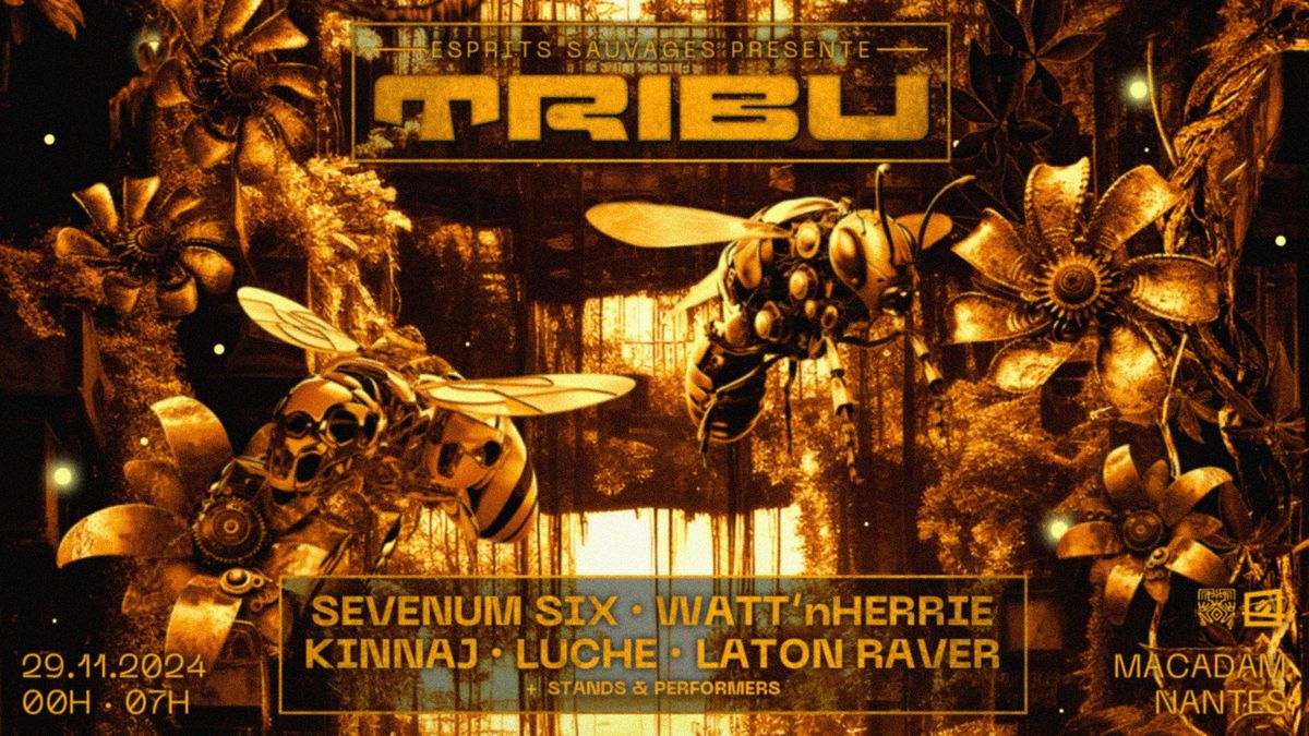 TRIBU \u00b7 Macadam \u00b7 Sevenum Six - Watt'nHerrie - Kinnaj - Luche - Laton Raver